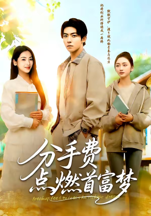 分手费点燃首富梦（80集）真的太精彩了