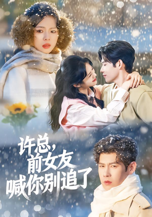 许总，前女友喊你别追了（80集）全集一网打尽