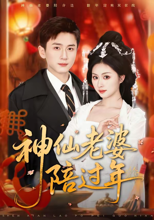 神仙老婆陪过年（66集）演的怎么样