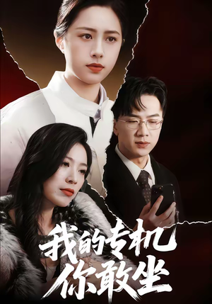 我的专机你敢坐（62集）全集一网打尽