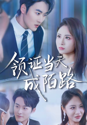 领证当天成陌路（39集）热门短剧推荐