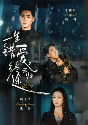 一生错爱，终无归途（74集）火爆短剧抢先看