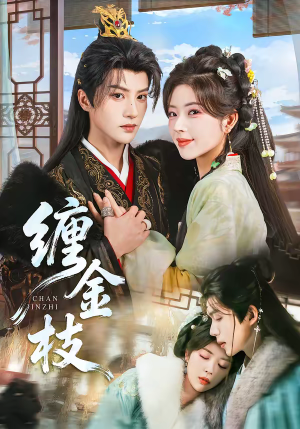 缠金枝(69集) 缠金枝(69集)番茄免费短剧