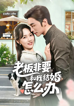 老板非要和我结婚怎么办(50集) 老板非要和我结婚怎么办(50集)爆款短剧推荐