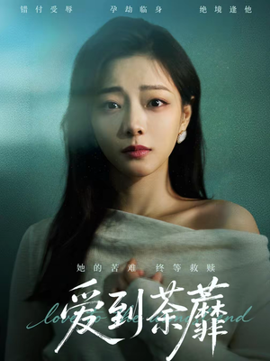 爱到荼蘼（63集）西瓜短剧免费看