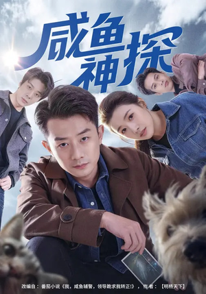 咸鱼神探(80集) 咸鱼神探(80集)免费在线看