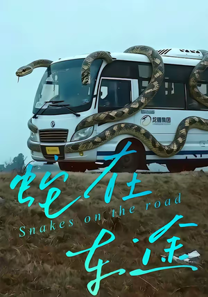 蛇在车途(34集) 蛇在车途(34集)爆火短剧抢先看