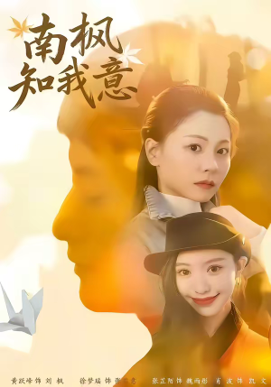 南枫知我意(41集) 南枫知我意(41集)热门短剧推广