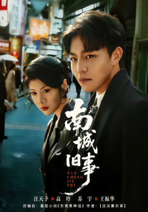 南城旧事（80集）爆款短剧推荐