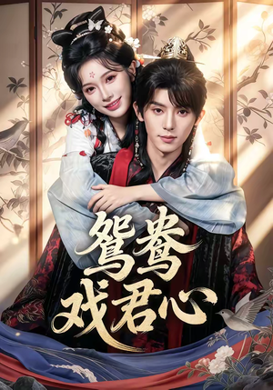 鸳鸯戏君心（60集）真的太好看了