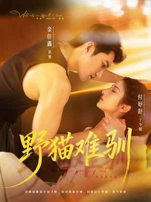野猫难驯（73集）短剧爆款推荐