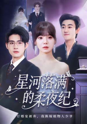 星河落满的柔夜纪（88集）一起追短剧吧