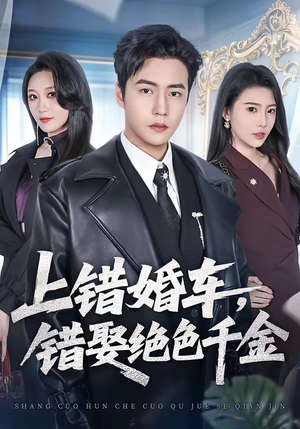 上错婚车，错娶绝色千金（80集）热门爆款短剧