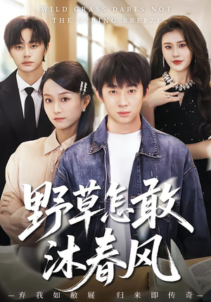 野草怎敢沐春风(61集) 野草怎敢沐春风(61集)甜宠短剧追到爽