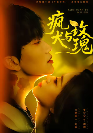 疯犬与玫瑰（80集）独家短剧免费看