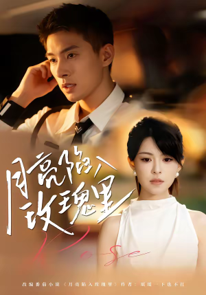 月亮陷入玫瑰里（60集）口碑之选免费看