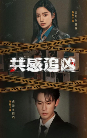 共感追凶（60集）在哪看免费