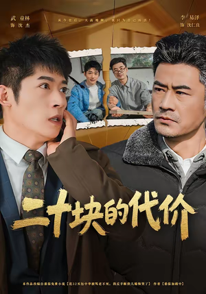 二十块的代价（64集）无需会员轻松看