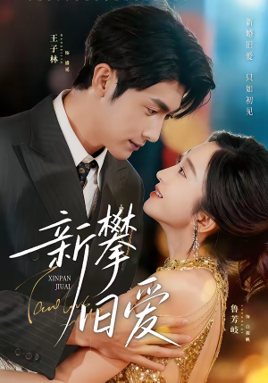 新攀旧爱（67集）精彩短剧热播