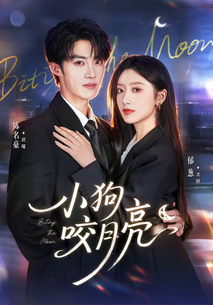 小狗咬月亮（66集）夸克在线观看