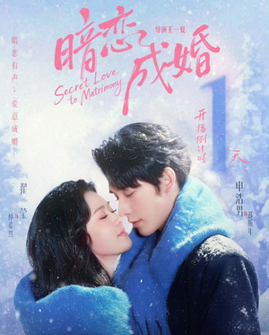 暗恋成婚（60集）短剧推荐更新中