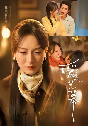 爱意荒幕（70集）看精彩短剧