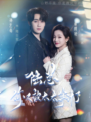 陆总,你又被太太算计了(70集) 陆总,你又被太太算计了(70集)口碑爆棚免费看