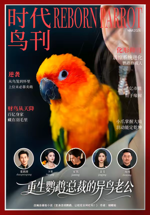 重生鹦鹉：总裁的异鸟老公（80集）小短剧推荐