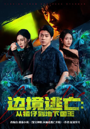 边境逃亡：从猪仔到地下国王（81集）精彩连连免费看