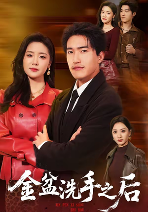 金盆洗手之后（62集）在线看免费版