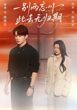 一别两忘川，此去无归期（56集）新短剧推荐