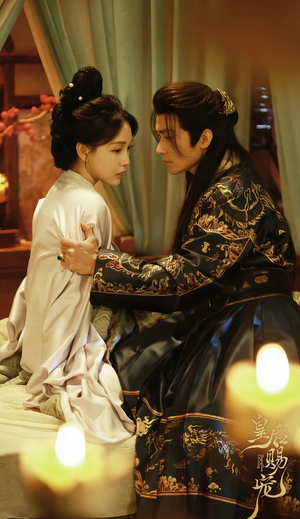 皇后赐宠（22集）越看越好看短剧