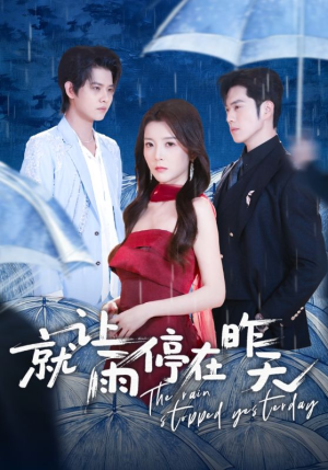 就让雨停在昨天（70集）解说文案