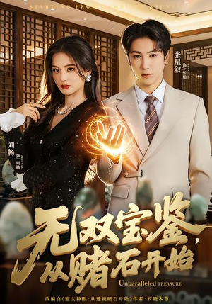 无双宝鉴，从赌石开始（70集）好看短剧追不停