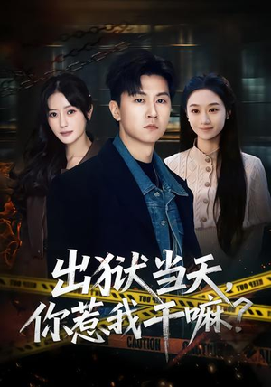 出狱当天，你惹我干嘛？（62集）短剧分享剧集