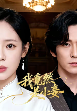 我竟然是小妾(47集) 我竟然是小妾(47集)免费观看完整版