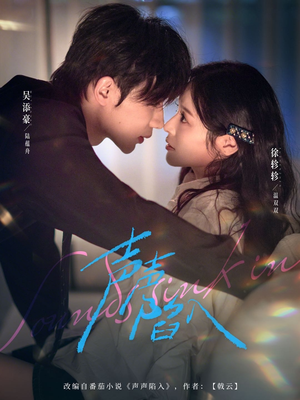 声声陷入（73集）热门爆款短剧