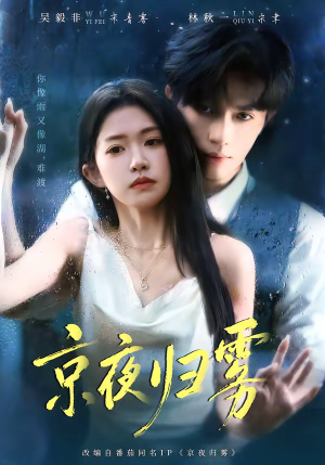 京夜归雾（71集）精彩短剧推荐