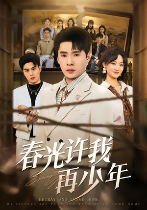 春光许我再少年（79集）视频在线看