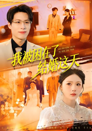 我被困在了结婚这天（40集）全集在线看