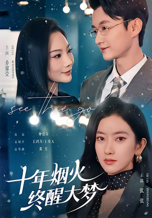 十年烟火，终醒大梦（60集）我真的爱了