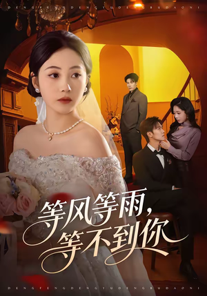等风等雨，等不到你（65集）在哪里可以看