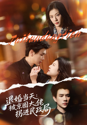 退婚当天：被京圈大佬拐进民政局（80集）热门短剧追不停