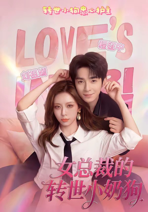 女总裁的转世小奶狗（30集）最火短剧热播