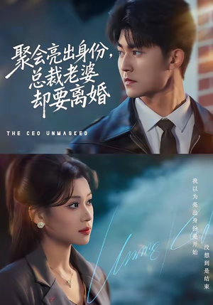 聚会亮出身份，总裁老婆却要离婚（81集）口碑之选免费看