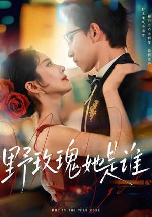 野玫瑰她是谁（84集）短剧解说热门