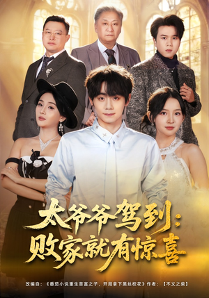 太爷爷驾到：败家就有惊喜（80集）不用花钱看全剧