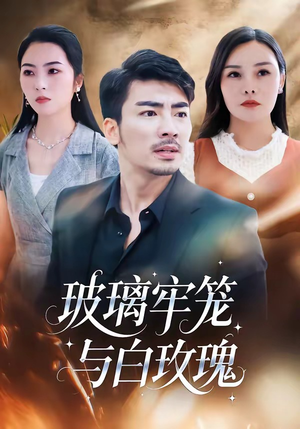 玻璃牢笼与白玫瑰（75集）第一集