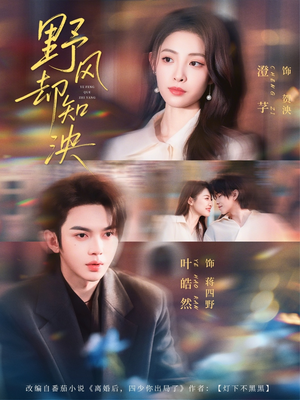 野风却知泱（80集）精彩好看短剧