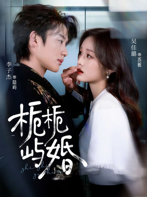 栀栀屿婚（77集）夸克在线观看